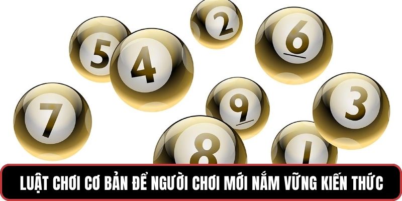 Luật chơi cơ bản để người chơi mới nắm vững kiến thức